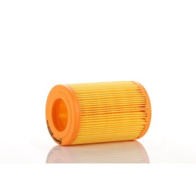 Kjøp Luftfilter av PZL Filters WA15110 til den lave prisen 132,45 NOK