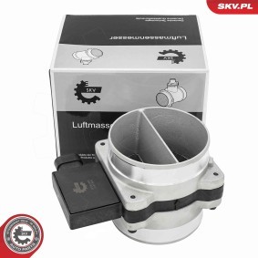 Acquista Debimetro da ESEN SKV 07SKV373 a buon mercato per soli 87,72 €