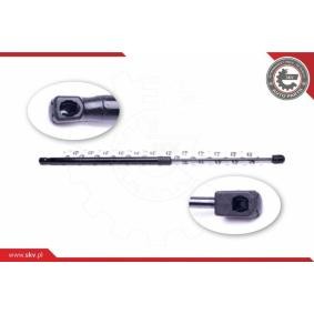 Acquista Motore elettrico, Cofano posteriore da ESEN SKV 52SKV204 a buon mercato per soli 125,31 €