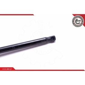 Heckklappe-Motor 52SKV250 von ESEN SKV günstig für 127,53 € online kaufen