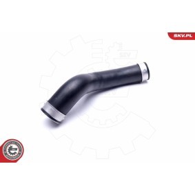 Heckklappendämpfer für FORD USA von ESEN SKV
