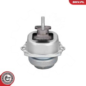 Motorlager des Herstellers ESEN SKV - Originalware Artikelnummer: 75SKV255
