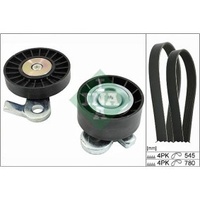Rollensatz, Zahnriemen 530 0055 09 von INA günstig für 61,40 € online kaufen