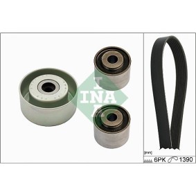 Rollensatz, Zahnriemen 530 0091 09 von INA günstig für 56,27 € online kaufen