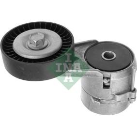 Acquista Braccio tenditore, Cinghia Poly-V da INA 534 0115 20 a buon mercato per soli 56,88 €