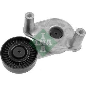 Comprar Brazo tensor, correa poli V de INA 534 0247 10 a bajo precio de 59,56 €
