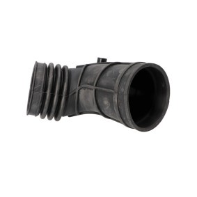 Ladeluftschlauch von LTD