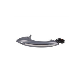 Türgriff PR12-01140 von PROCARO günstig für 98,36 € online kaufen