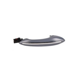 Türgriff PR12-01143 von PROCARO günstig für 98,36 € online kaufen