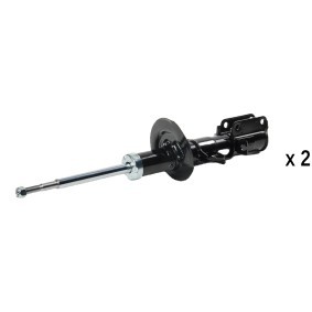 Stoßdämpfer von RIDEX