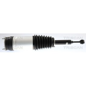 Luftfeder, Fahrwerk 8720 81203 TESLA von TRISCAN