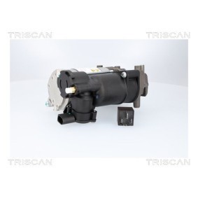 Kompressor, Luftfederung 8725 23106 von TRISCAN günstig für 639,79 € online kaufen