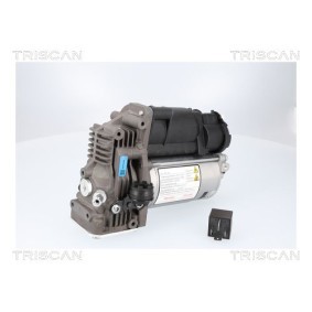Kompressor, Luftfederung 8725 23107 von TRISCAN günstig für 651,71 € online kaufen