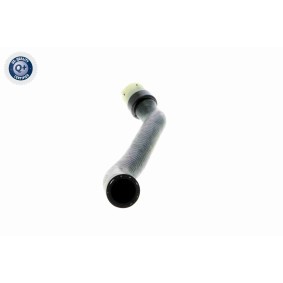 Ölpumpe V22-1333 von VAICO günstig für 368,60 € online kaufen