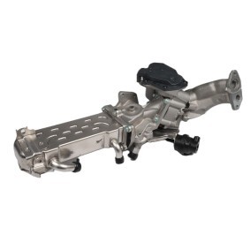 AGR-Modul für MERCEDES-BENZ von HEPU