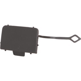 Klappe, Abschlepphaken 1672454 von DIEDERICHS günstig für 15,23 € online kaufen