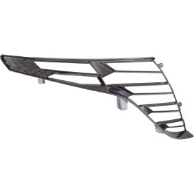 Abdeckung, Scheinwerfer 6863032 von DIEDERICHS günstig für 91,98 € online kaufen