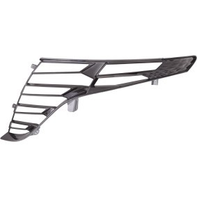 Abdeckung, Scheinwerfer 6863033 von DIEDERICHS günstig für 91,98 € online kaufen