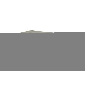 Motorhaube MG5003100 MG von PRASCO