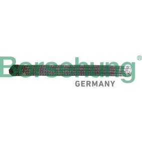 Steuerkette B12839 von Borsehung günstig für 73,33 € online kaufen