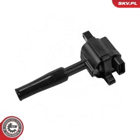 Acquista Bobina d'accensione da ESEN SKV 03SKV361 a buon mercato per soli 32,46 €