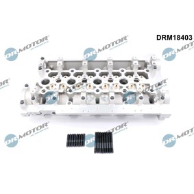 Zylinderkopf für RENAULT von DR.MOTOR AUTOMOTIVE
