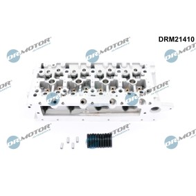 Köp Topplock av DR.MOTOR AUTOMOTIVE DRM21410 till det låga priset 8970,37 kr