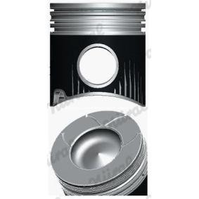 Compre Êmbolo da NÜRAL 87-782100-30 a um preço baixo por 363,73 €