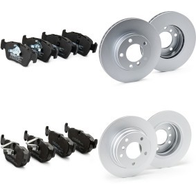 Bremsscheiben und -beläge von RIDEX PLUS