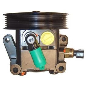 Acquista Pompa idraulica, sterzo da LIZARTE 44.88.0255-1 a buon mercato per soli 324,34 €