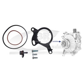 Reparatursatz, Unterdruckpumpe (Bremsanlage) 74301 von 3RG günstig für 35,06 € online kaufen