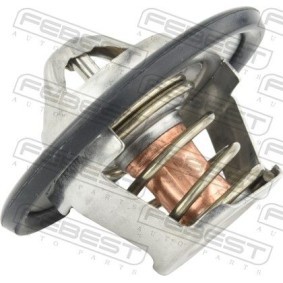 Kühlwasserthermostat 18462-004 BUICK (SGM) von FEBEST