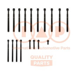 Zylinderkopfschraubensatz für BMW von IAP QUALITY PARTS
