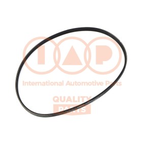 Acquista Cinghia servizi da IAP QUALITY PARTS 140-56041 a buon mercato per soli 79,63 €