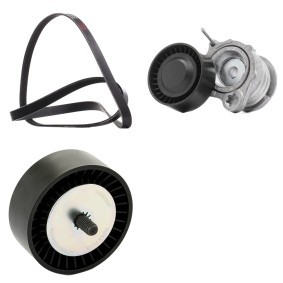 Achetez des Jeu de courroies trapézoïdales à nervures RIDEX PLUS 542R0921P à prix pour 86,17 €