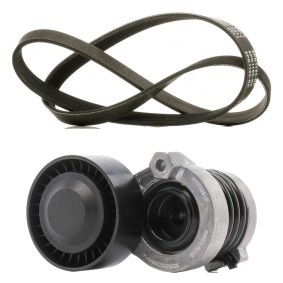 Comprar Juego de correas trapeciales poli V de RIDEX PLUS 542R1211P a bajo precio de 72,20 €