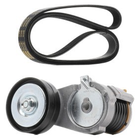Compre Jogo de correias trapezoidais estriadas da RIDEX PLUS 542R0647P a um preço baixo por 52,00 €