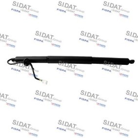 Gasfeder, Einlegeboden (Koffer- / Laderaum) für TESLA von SIDAT