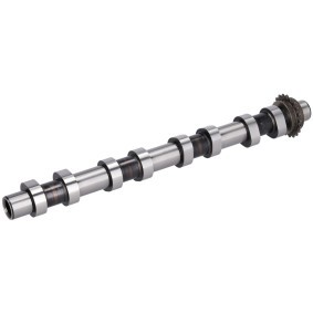Nockenwelle 198099 von FEBI BILSTEIN günstig für 224,80 € online kaufen