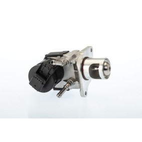 AGR-Ventil für BMW von BorgWarner