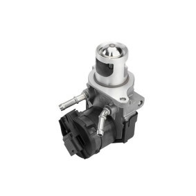 AGR-Ventil für BMW von BorgWarner