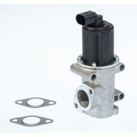 AGR-Ventil 710770D von BorgWarner günstig für 105,43 € online kaufen