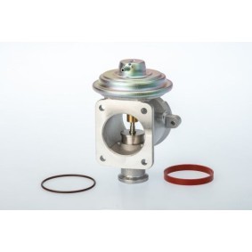 AGR-Ventil für BMW von BorgWarner