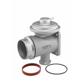 AGR-Ventil von BorgWarner