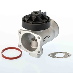 AGR-Ventil für MERCEDES-BENZ von BorgWarner