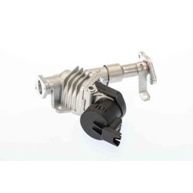 AGR-Ventil für BMW von BorgWarner