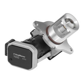 AGR-Ventil für MERCEDES-BENZ von BorgWarner