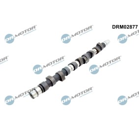 Acquista Albero a camme da DR.MOTOR AUTOMOTIVE online per 100 (43, C2) a prezzi moderati
