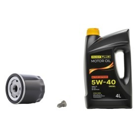 Filtersatz mit Motoröl 100374T0280P von RIDEX PLUS günstig für 33,56 € online kaufen