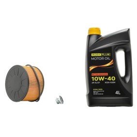 Filtersatz mit Motoröl 100374T0302P von RIDEX PLUS günstig für 7,50 € online kaufen